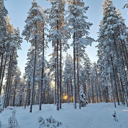 Villa Aleksi With Sauna Rovaniemi Dış mekan fotoğraf