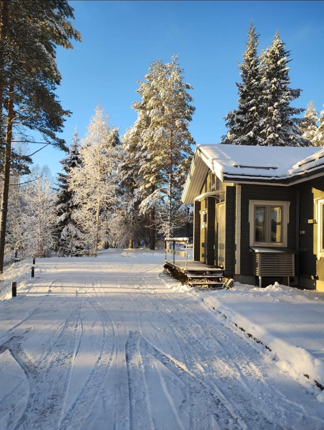 Villa Aleksi With Sauna Rovaniemi Dış mekan fotoğraf